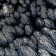 梅娇